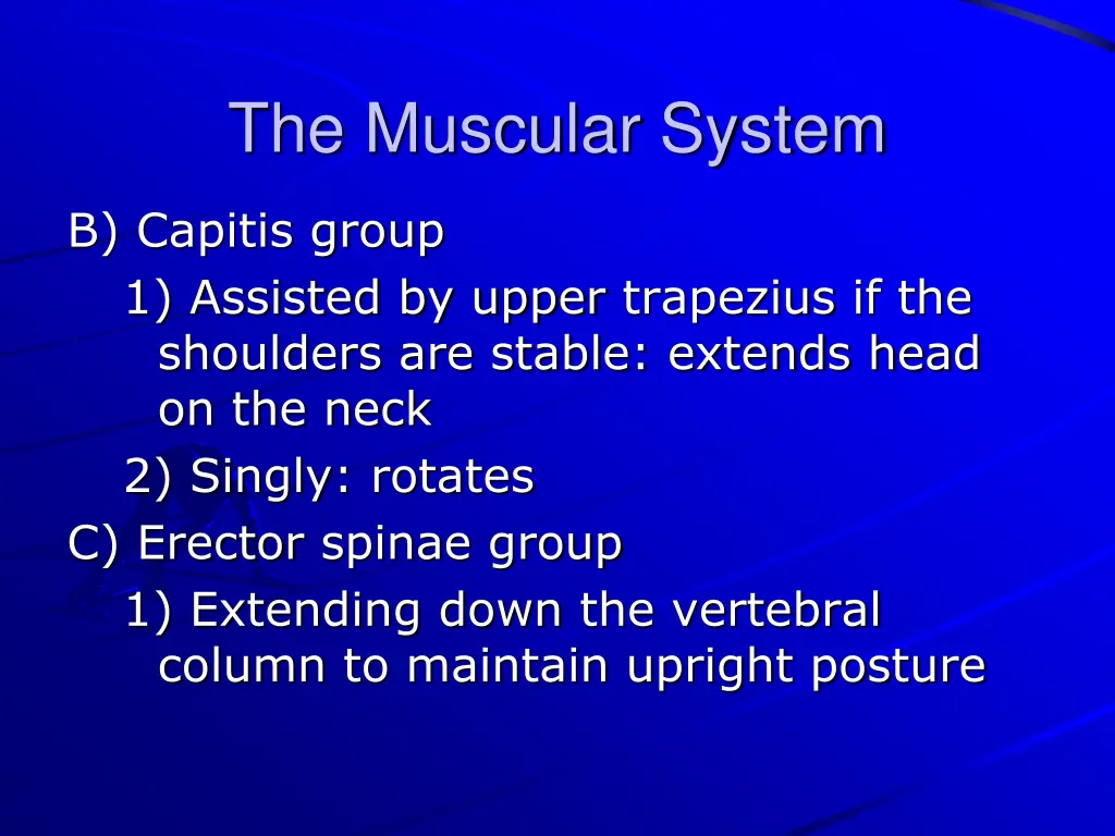 the muscular system 21