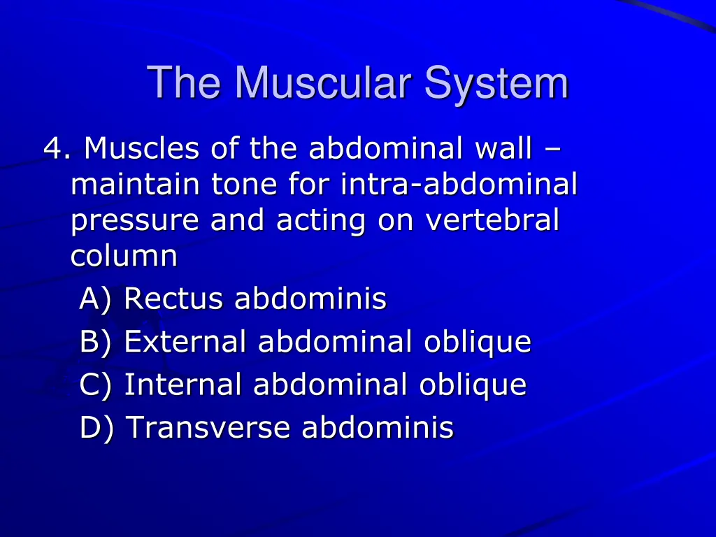 the muscular system 22
