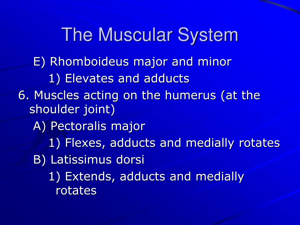the muscular system 24