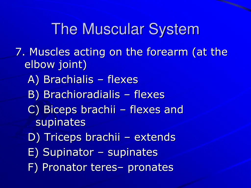 the muscular system 26