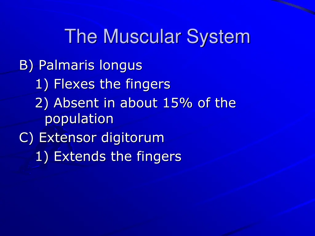 the muscular system 29