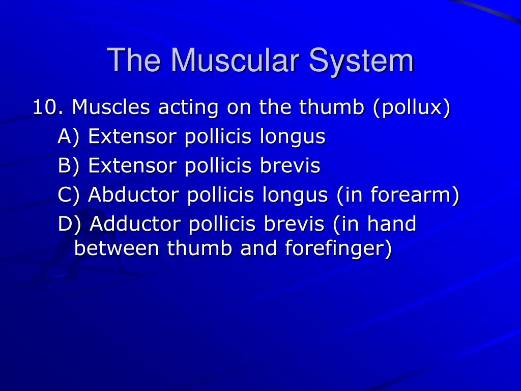 the muscular system 30