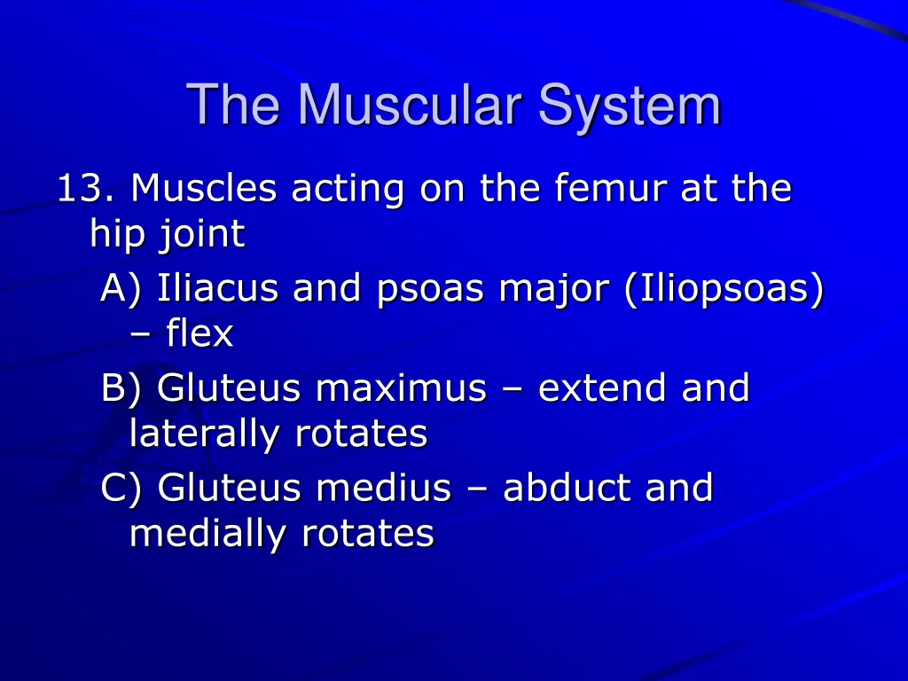 the muscular system 33