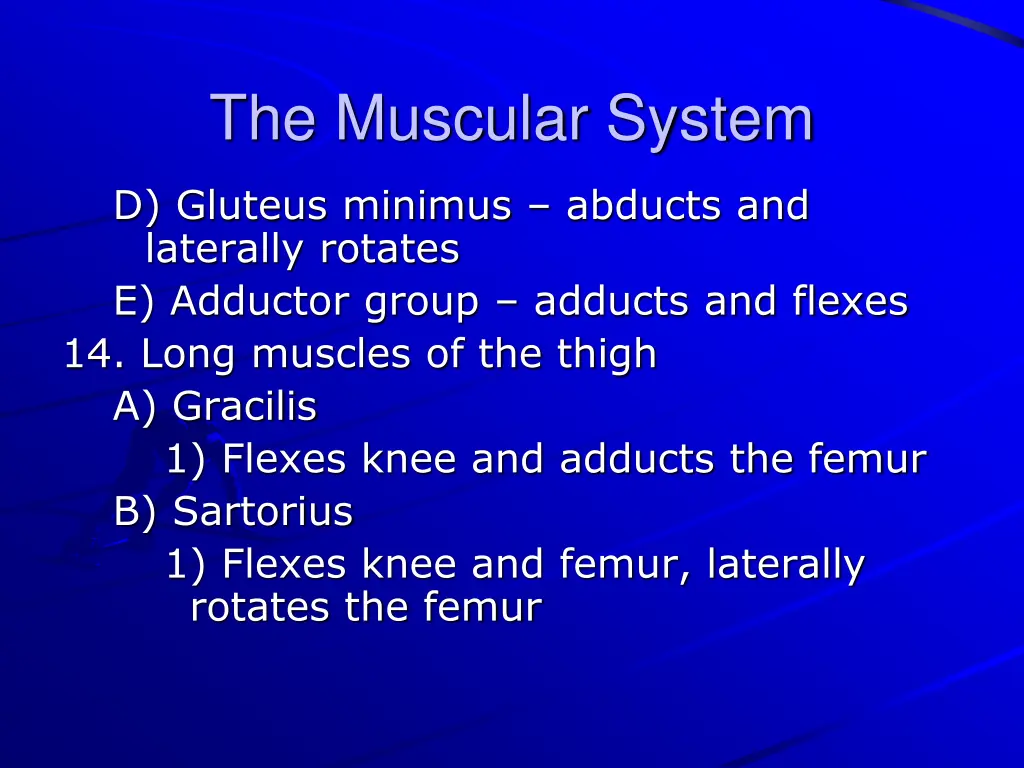 the muscular system 34