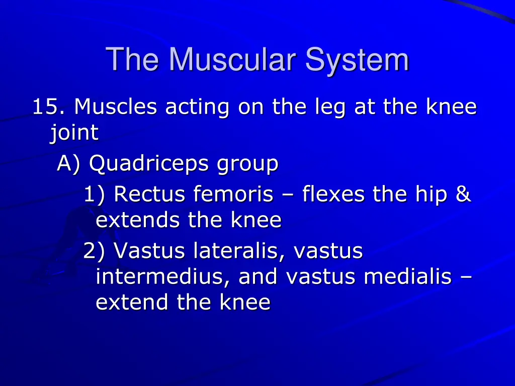 the muscular system 35