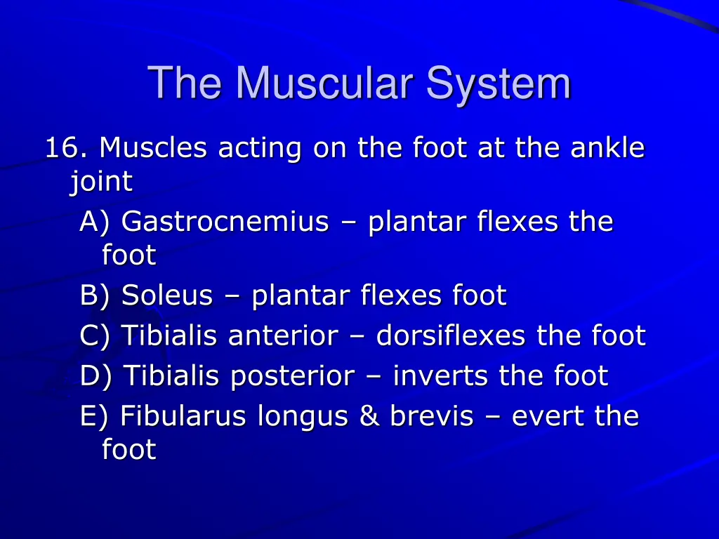 the muscular system 37