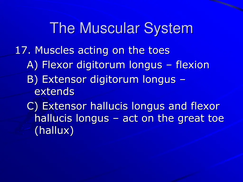 the muscular system 38