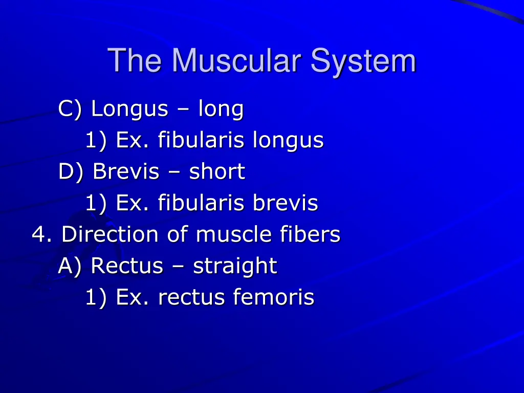 the muscular system 4