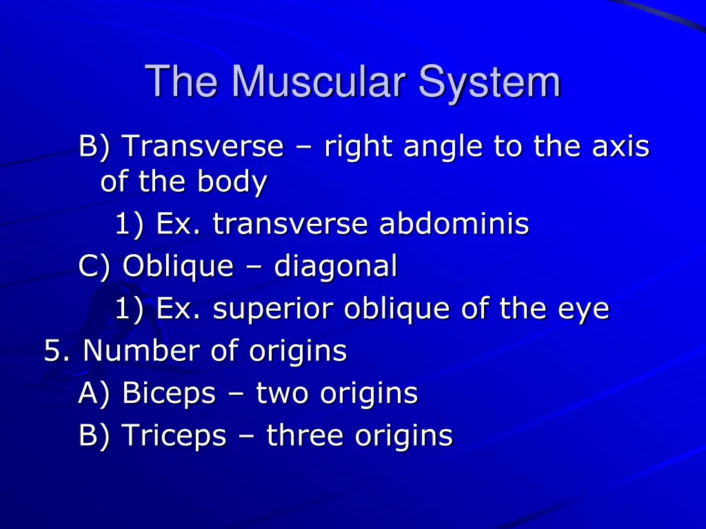 the muscular system 5