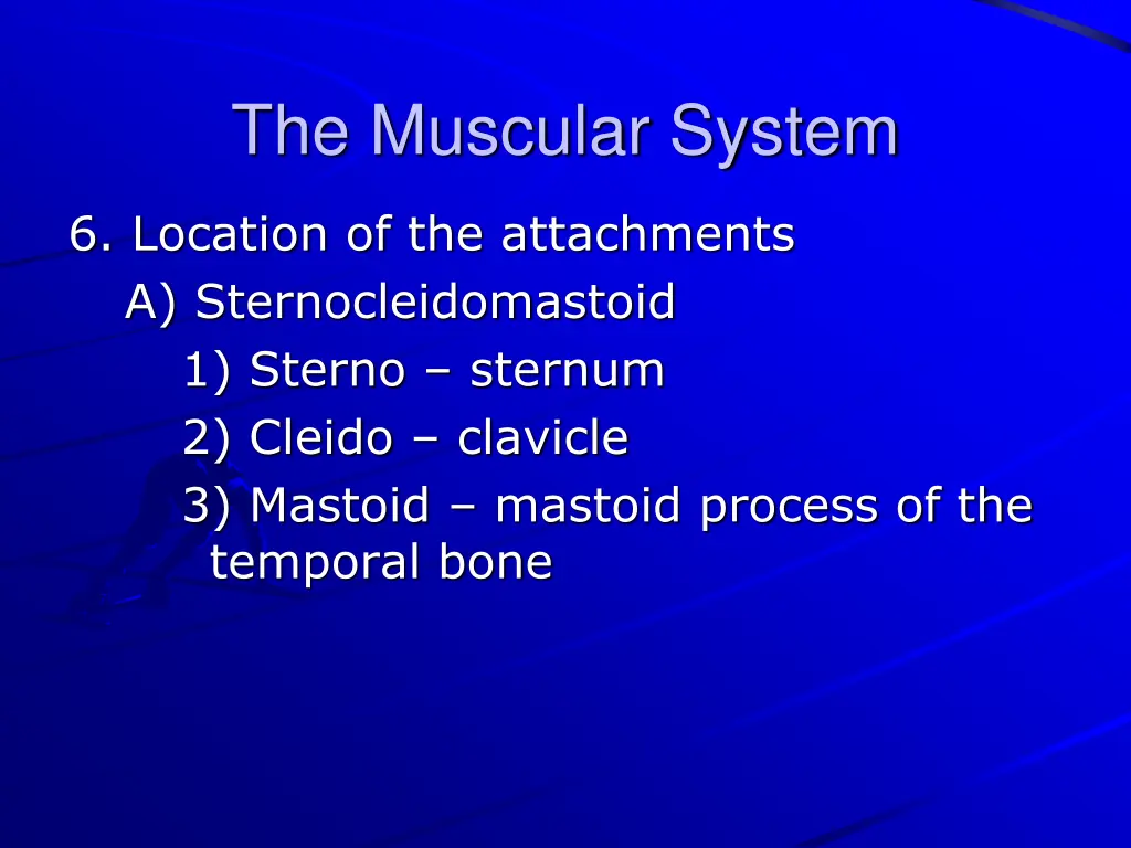 the muscular system 6