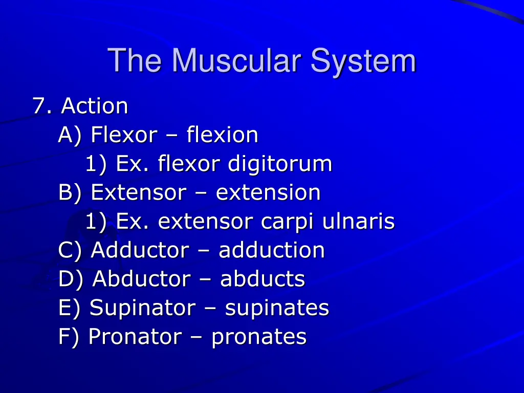 the muscular system 7