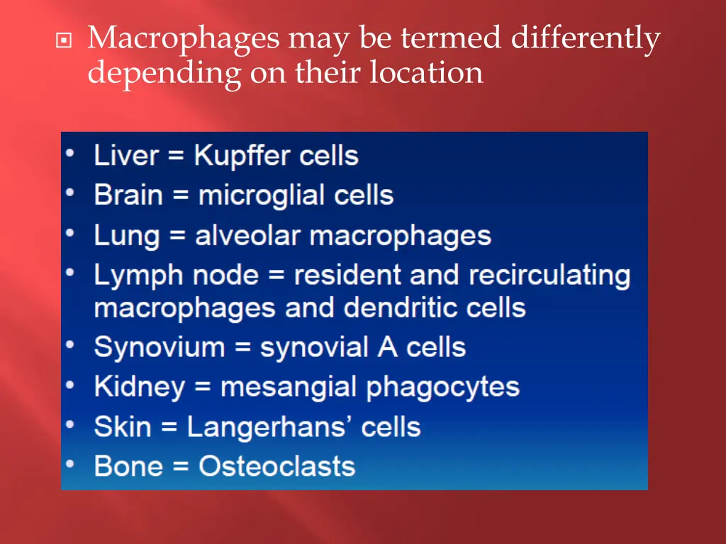 macrophages may be termed differently depending