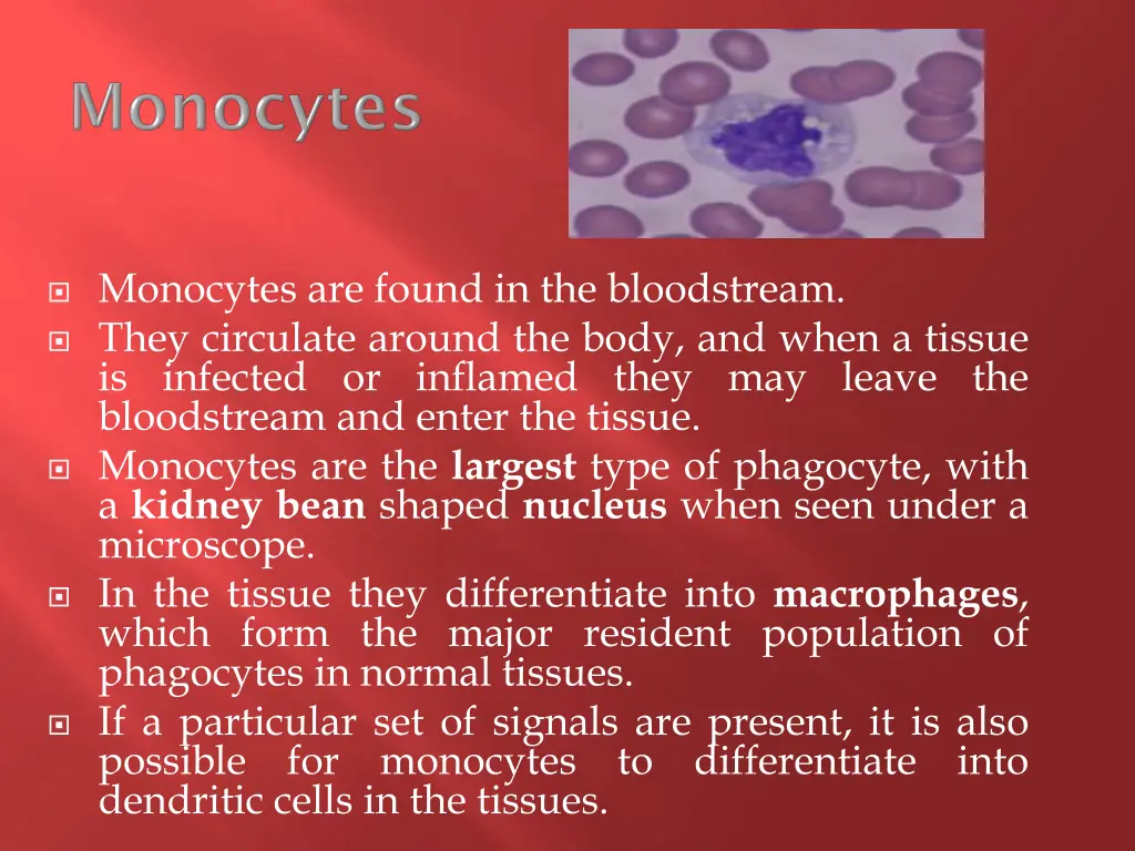 monocytes are found in the bloodstream they