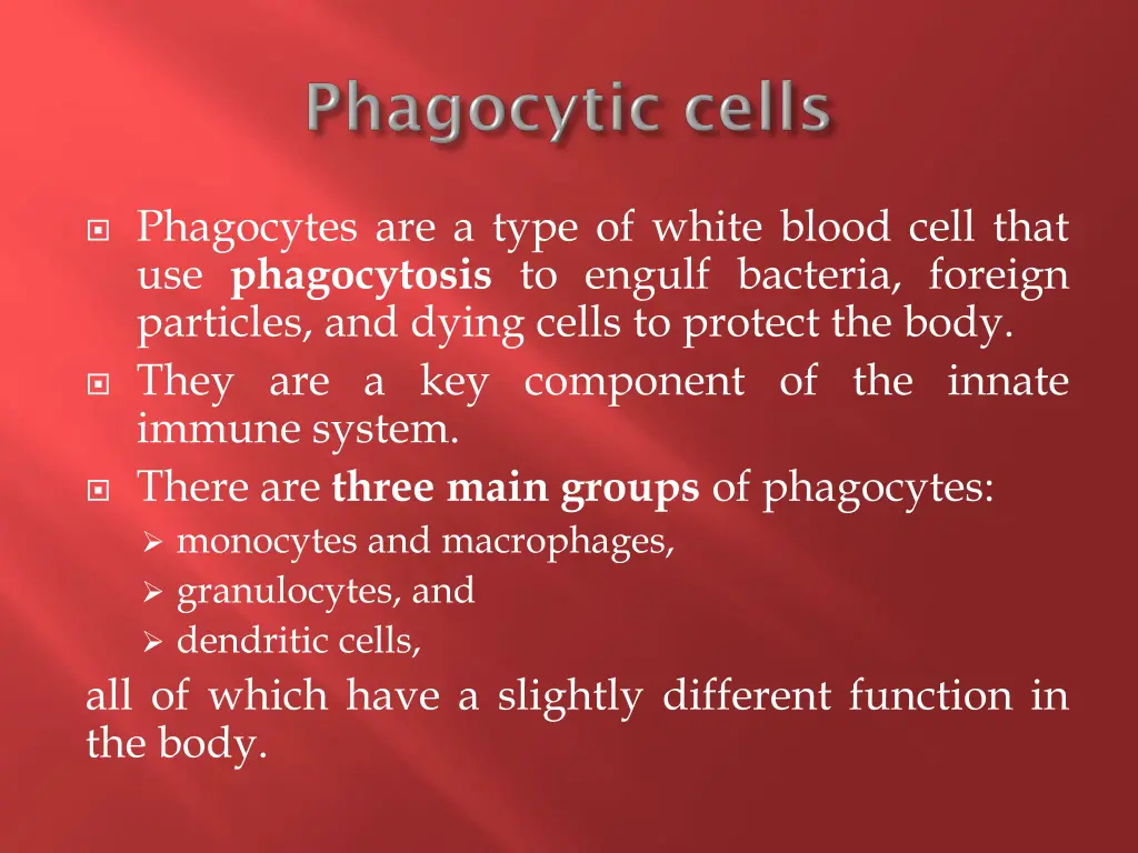 phagocytes are a type of white blood cell that