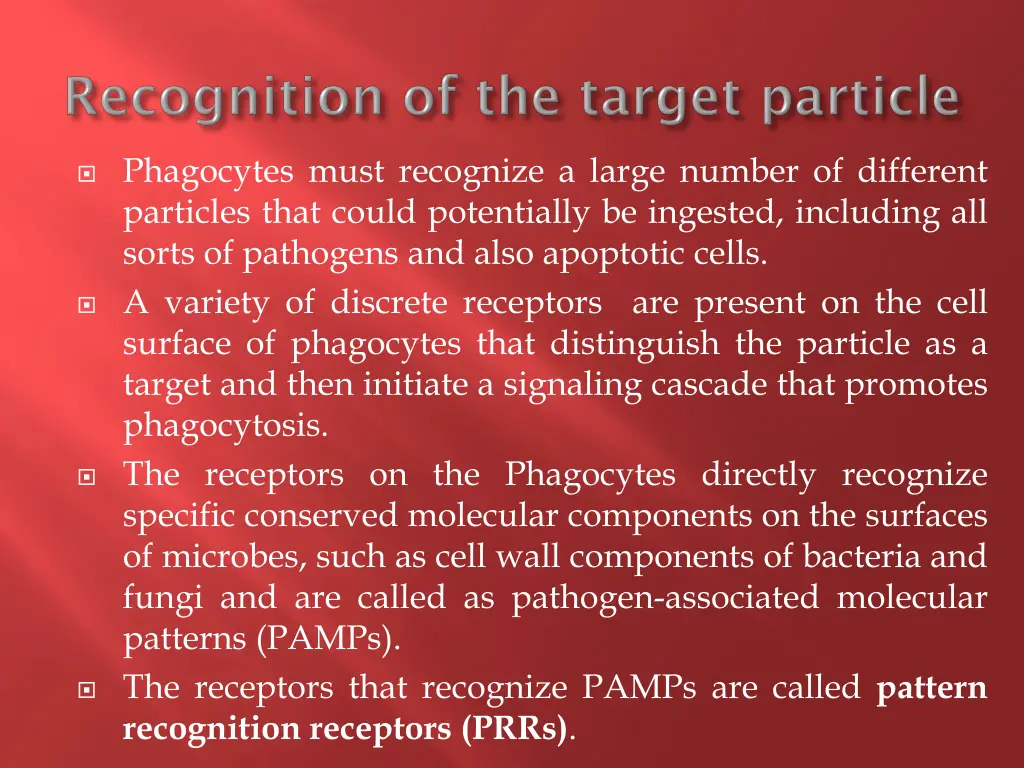 phagocytes must recognize a large number