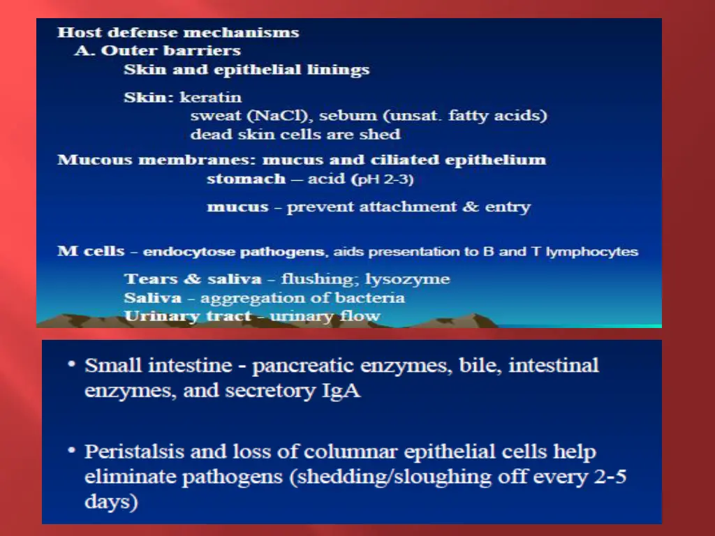 slide6
