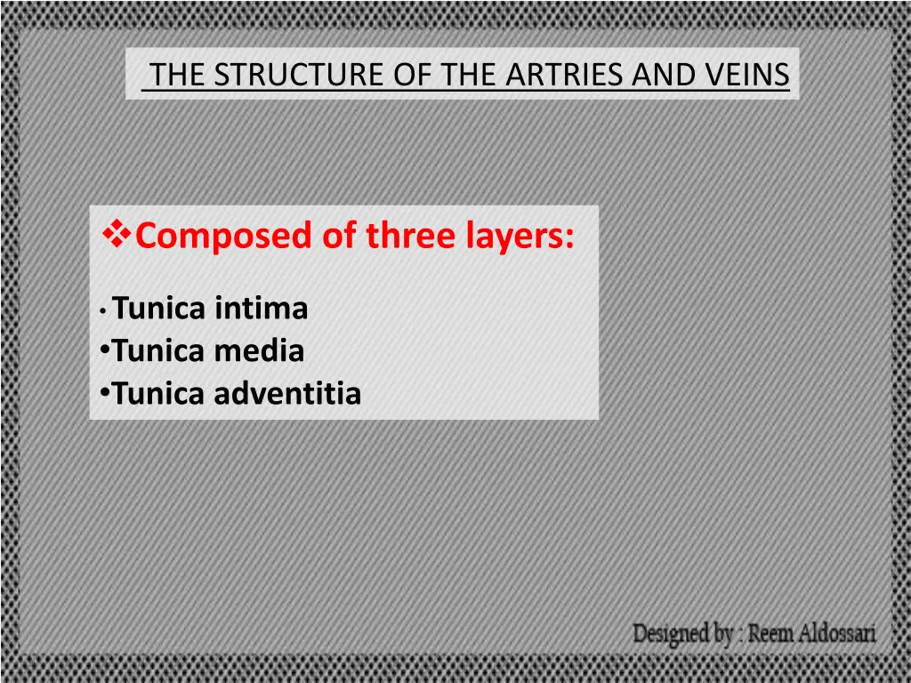 the structure of the artries and veins