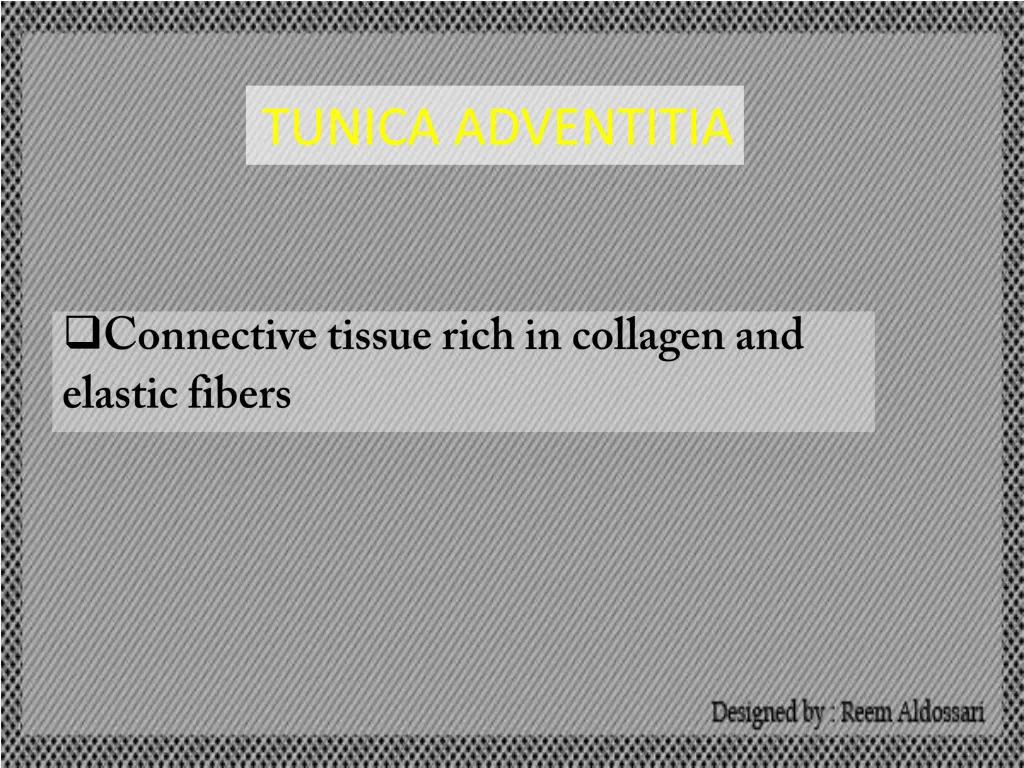 tunica adventitia