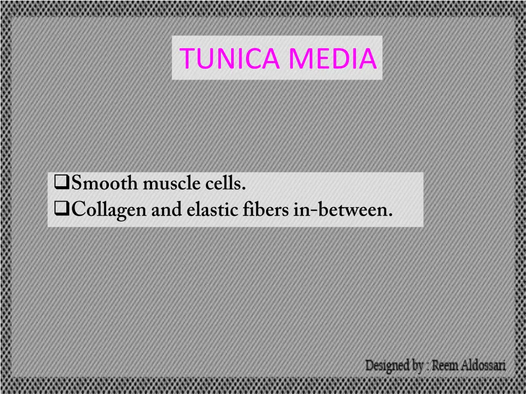 tunica media
