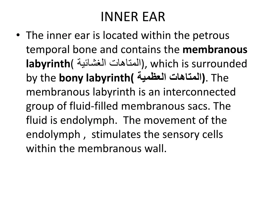 inner ear