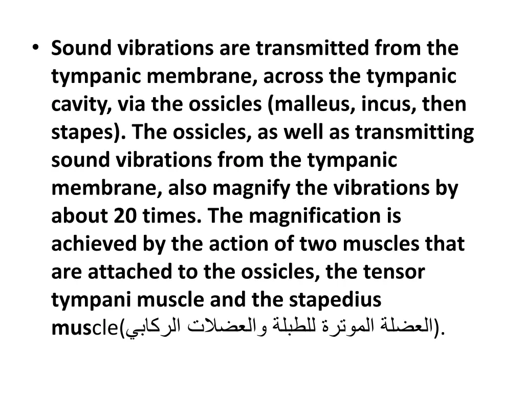 sound vibrations are transmitted from