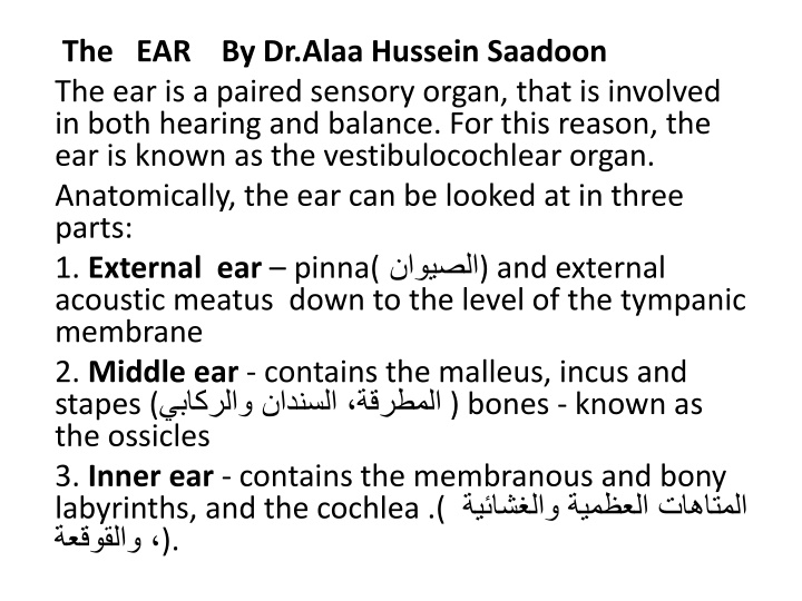 the ear by dr alaa hussein saadoon