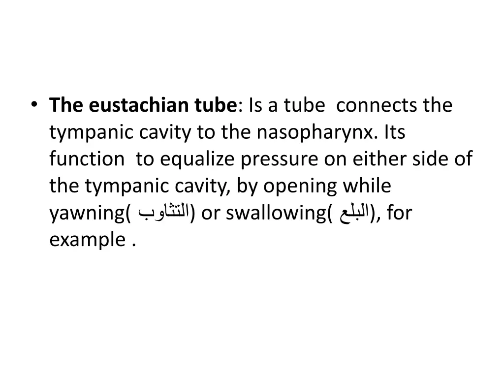 the eustachian tube is a tube connects
