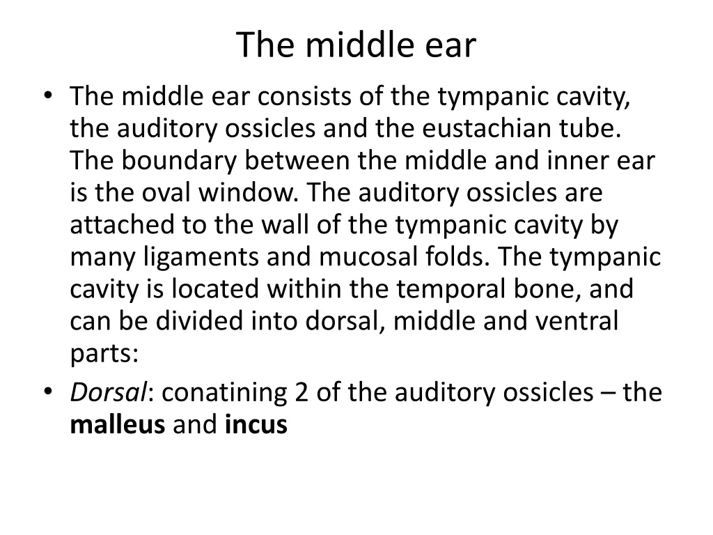 the middle ear