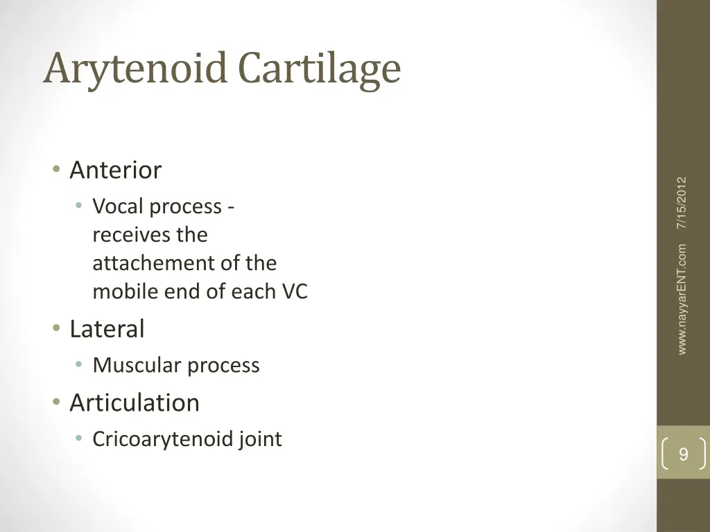 arytenoid cartilage 1