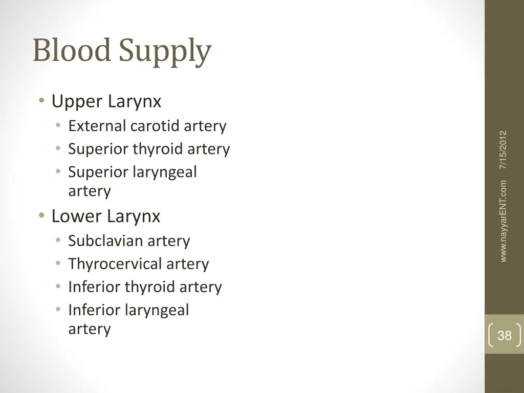 blood supply