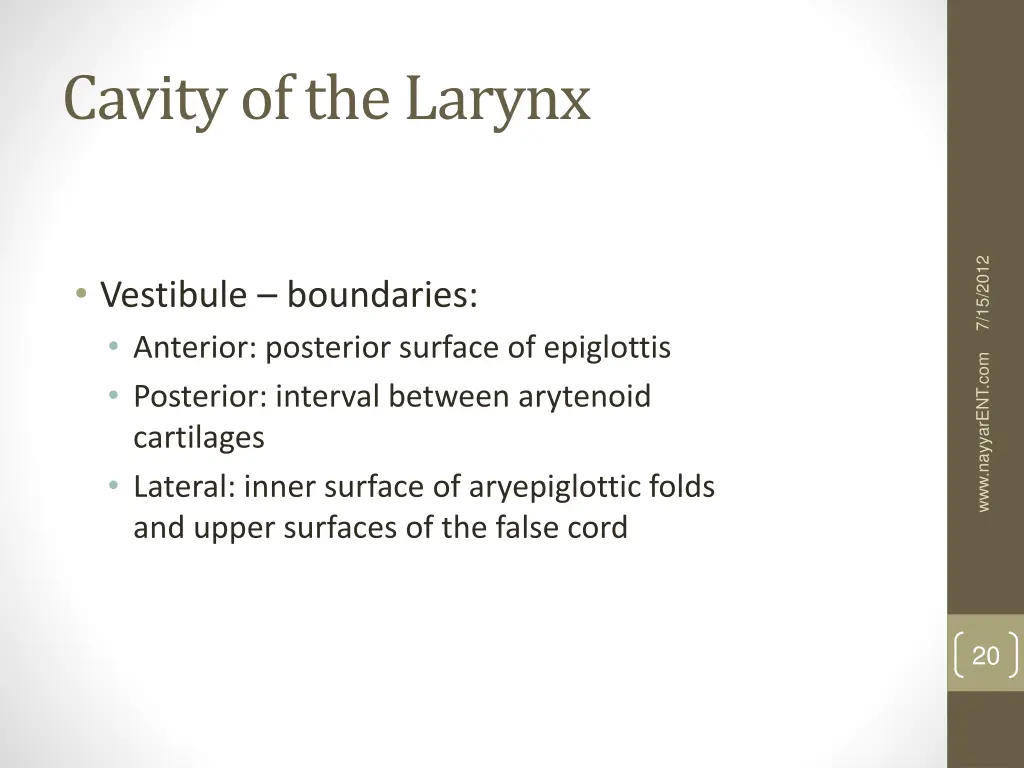 cavity of the larynx 1