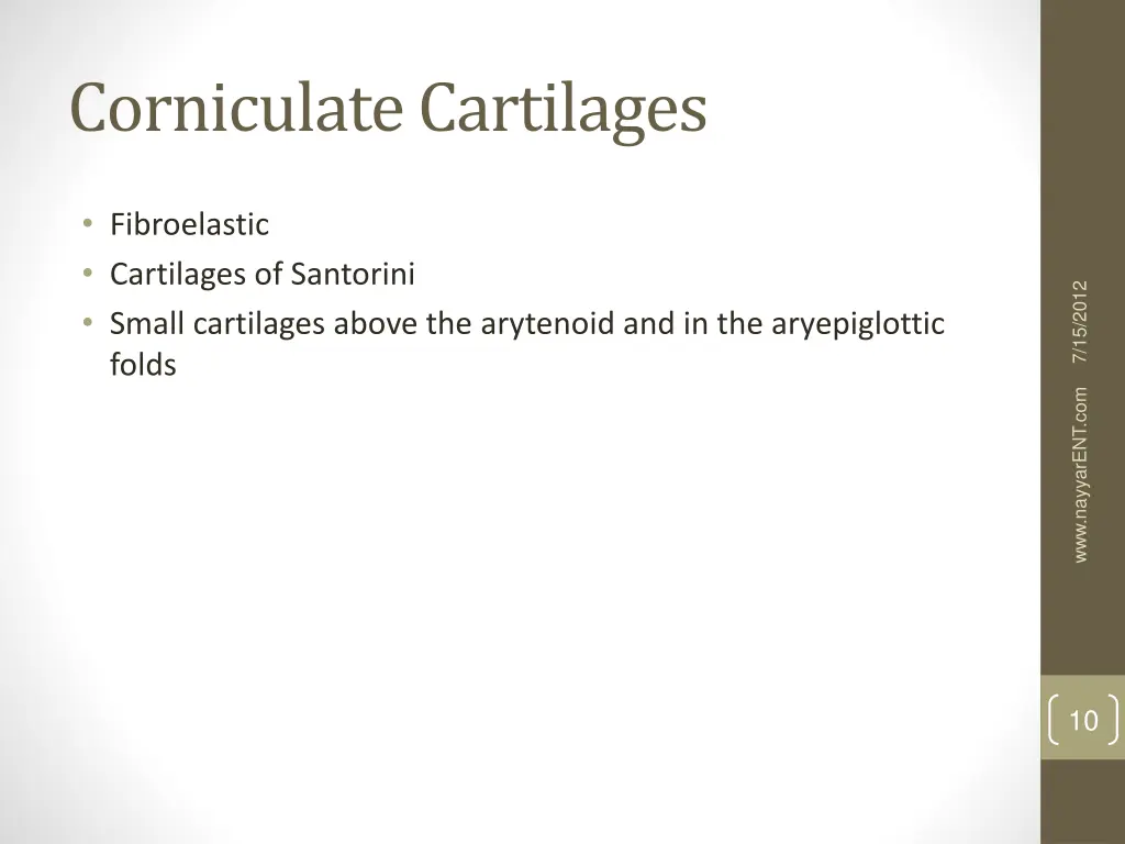 corniculate cartilages