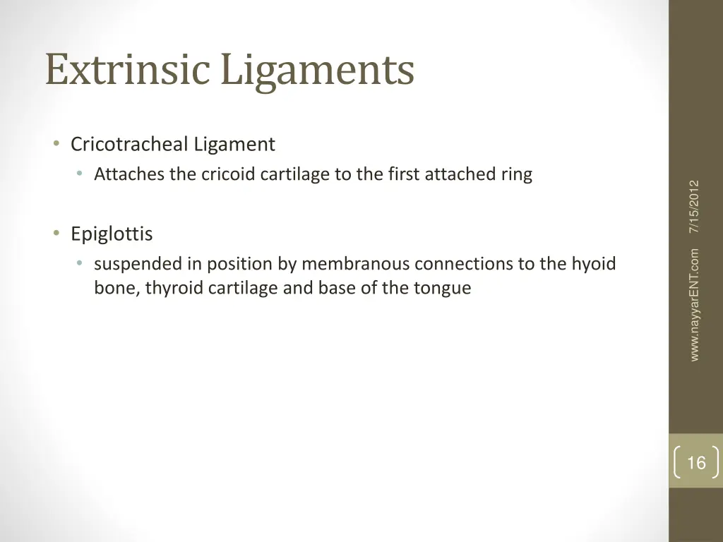extrinsic ligaments 2
