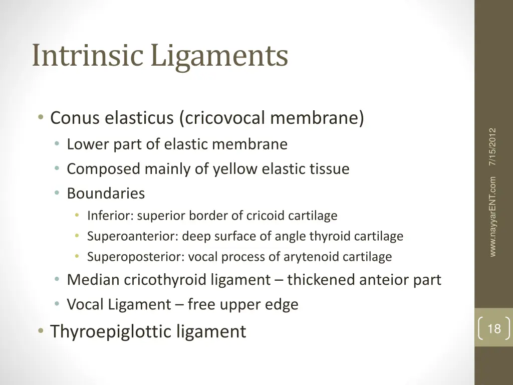 intrinsic ligaments 1