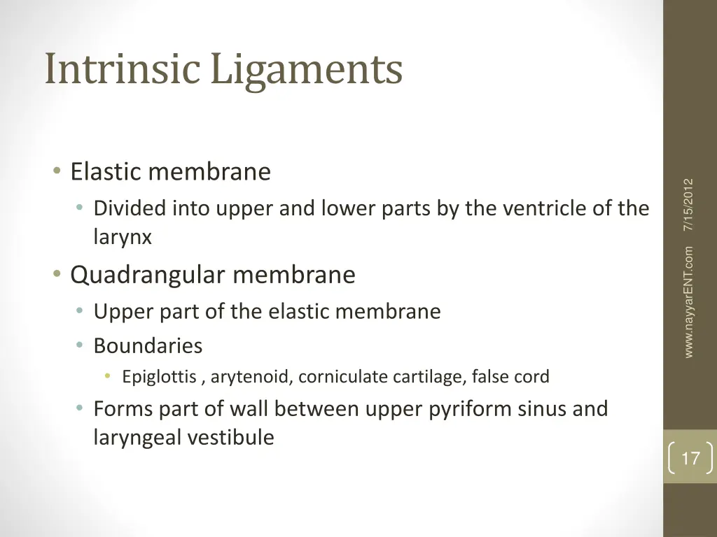 intrinsic ligaments