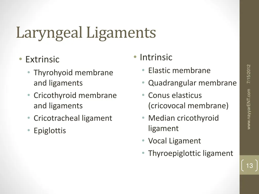 laryngeal ligaments