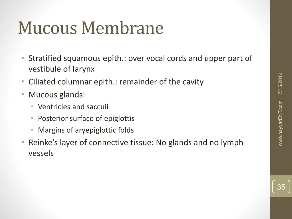 mucous membrane