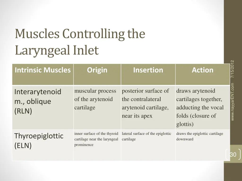 muscles controlling the laryngeal inlet