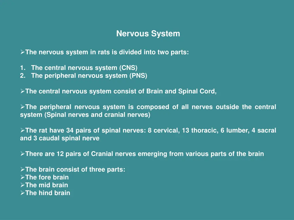 nervous system