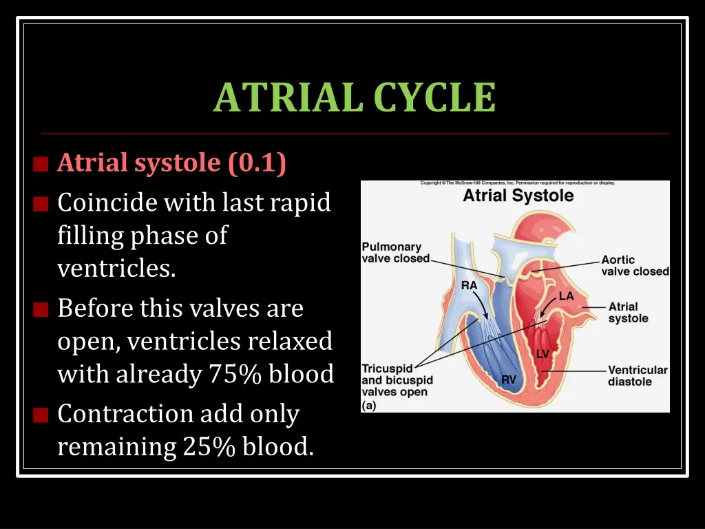 atrialcycle