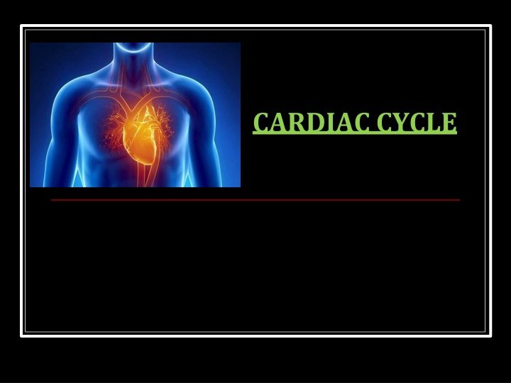cardiac cycle