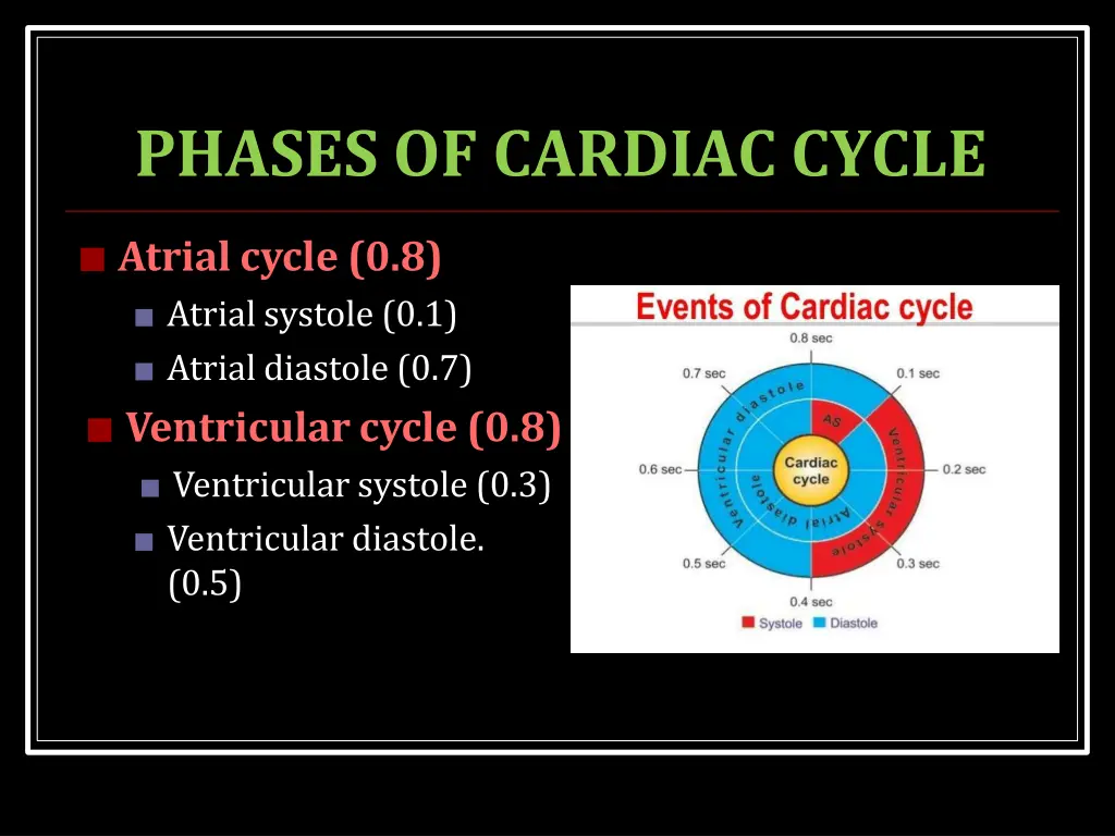 phases of cardiac cycle