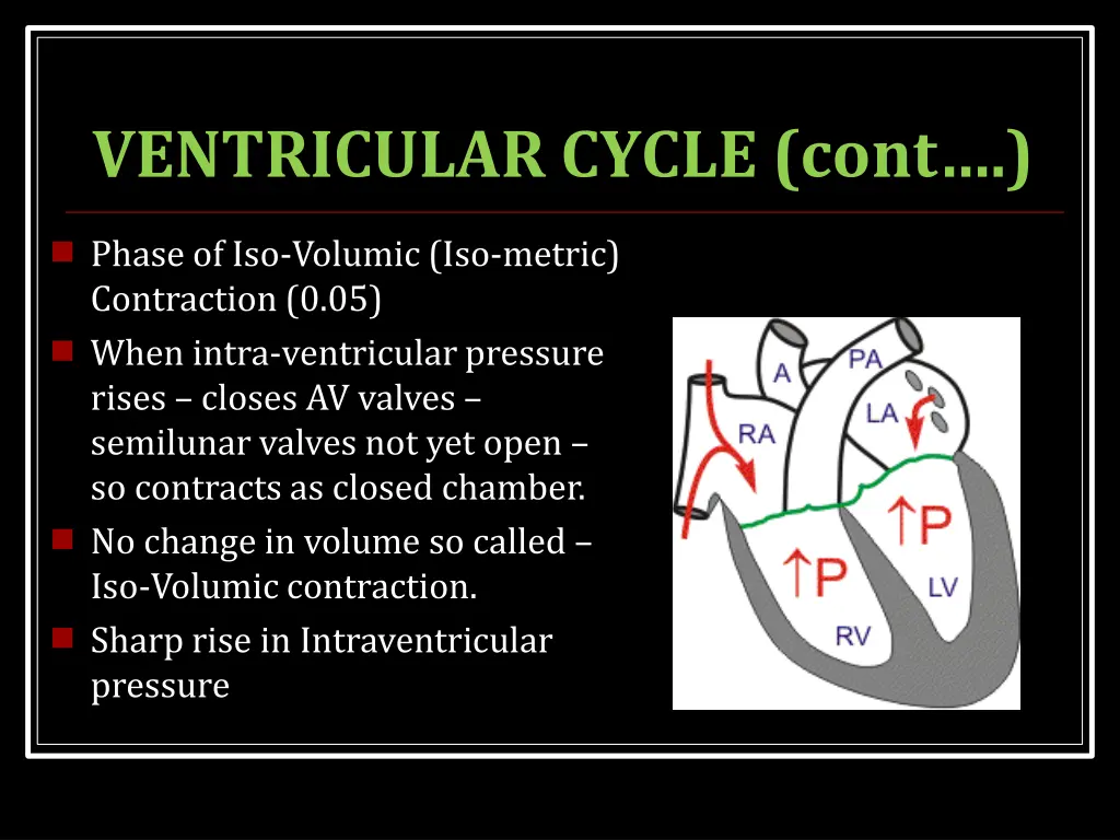 ventricular cycle cont