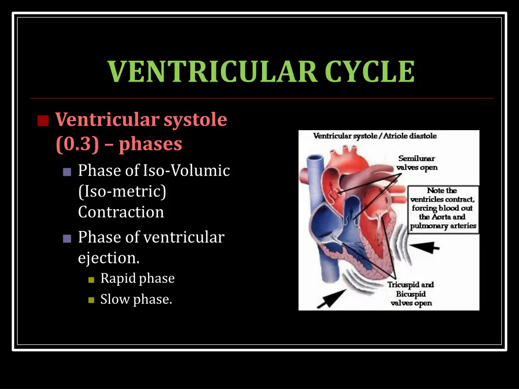 ventricularcycle