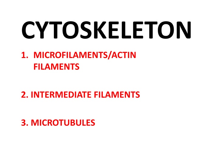 cytoskeleton