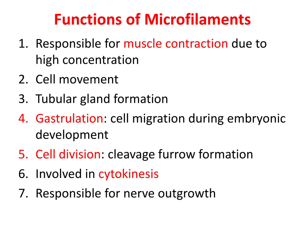 functions of microfilaments