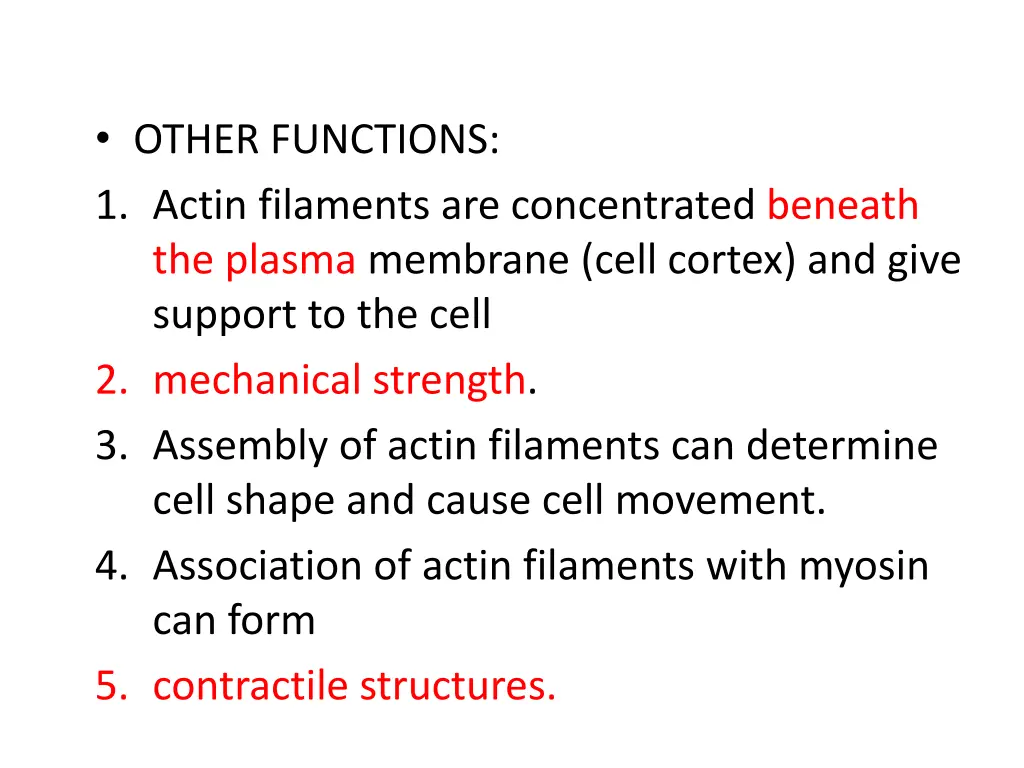 other functions 1 actin filaments