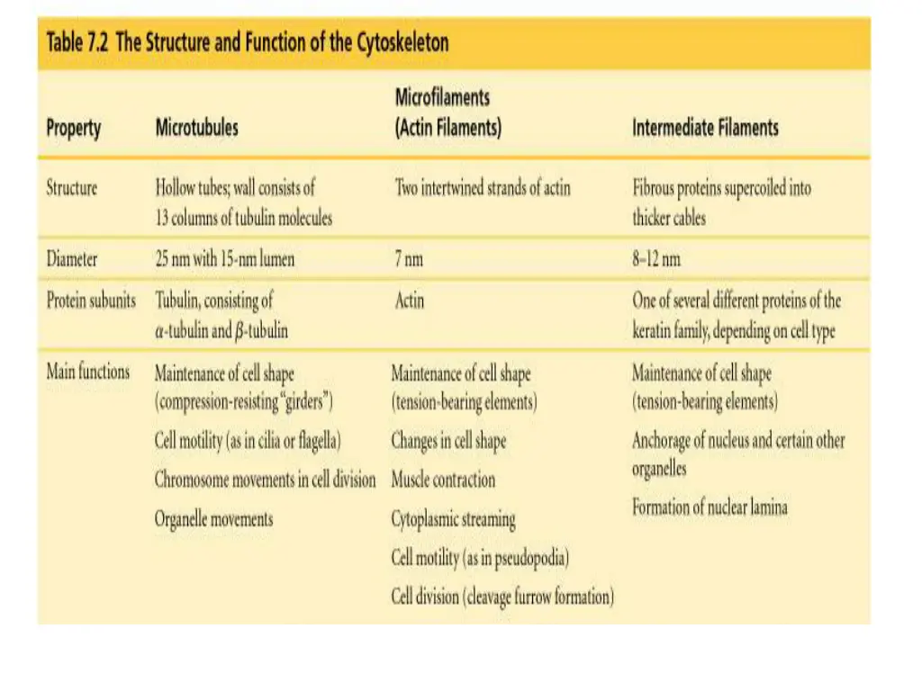 slide27