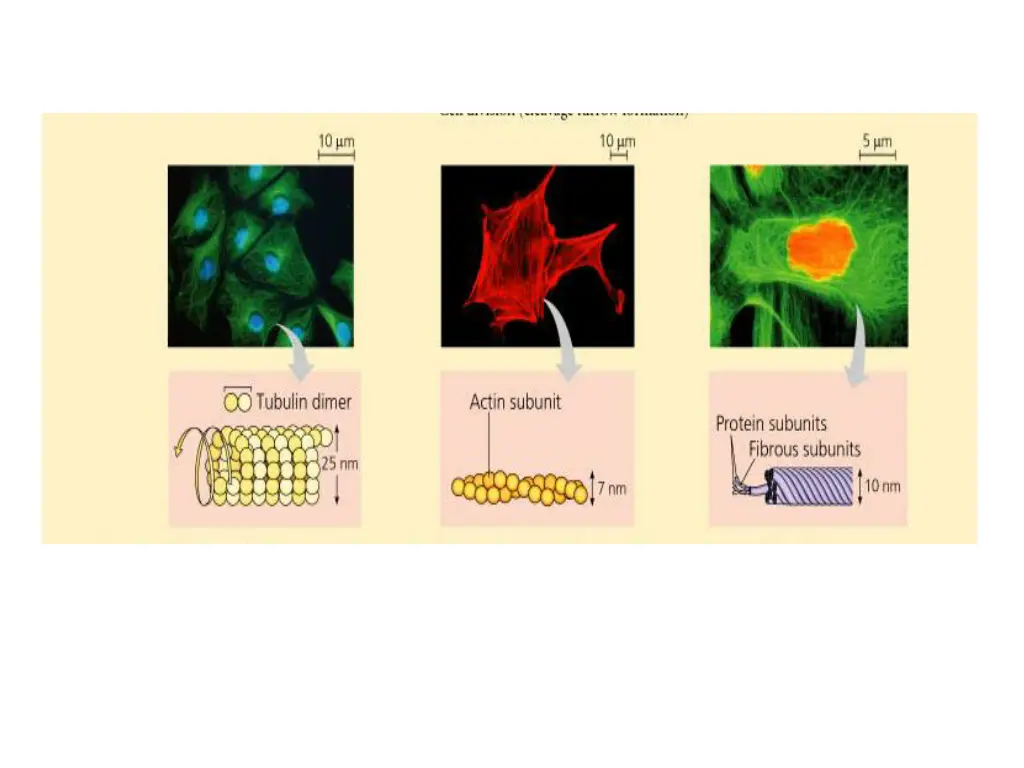 slide28