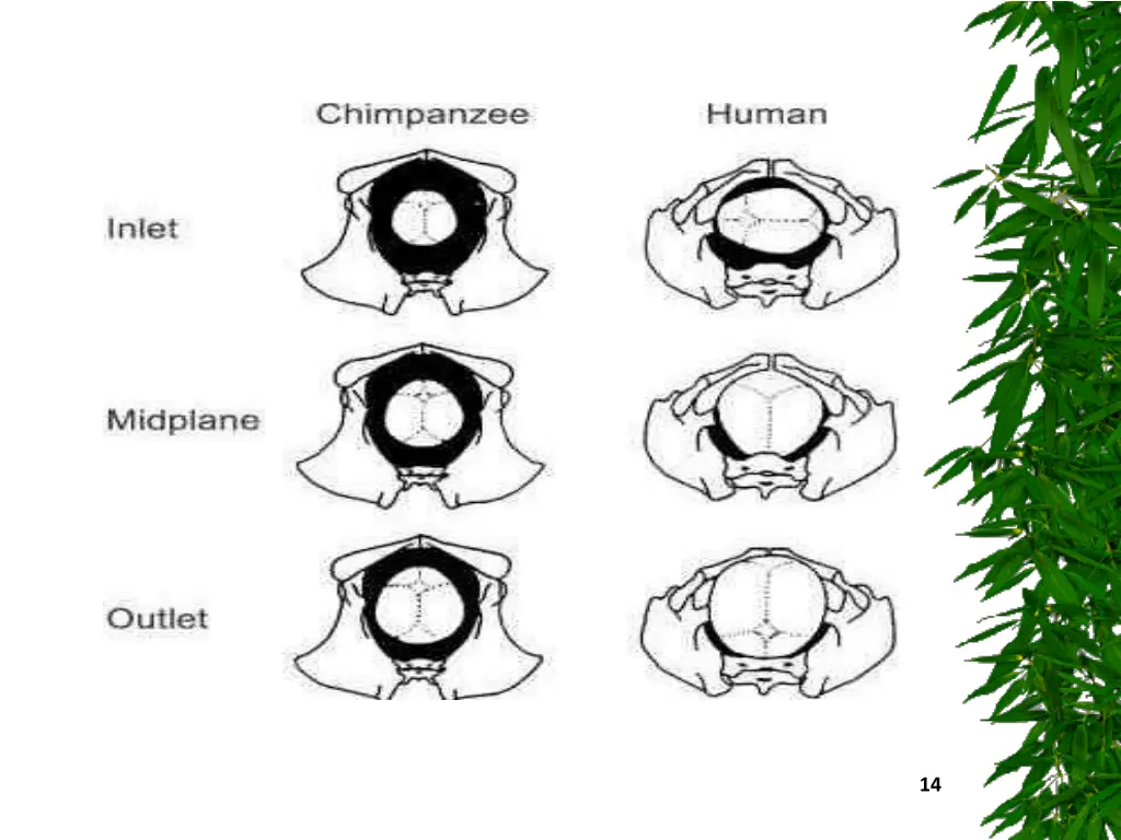 slide14
